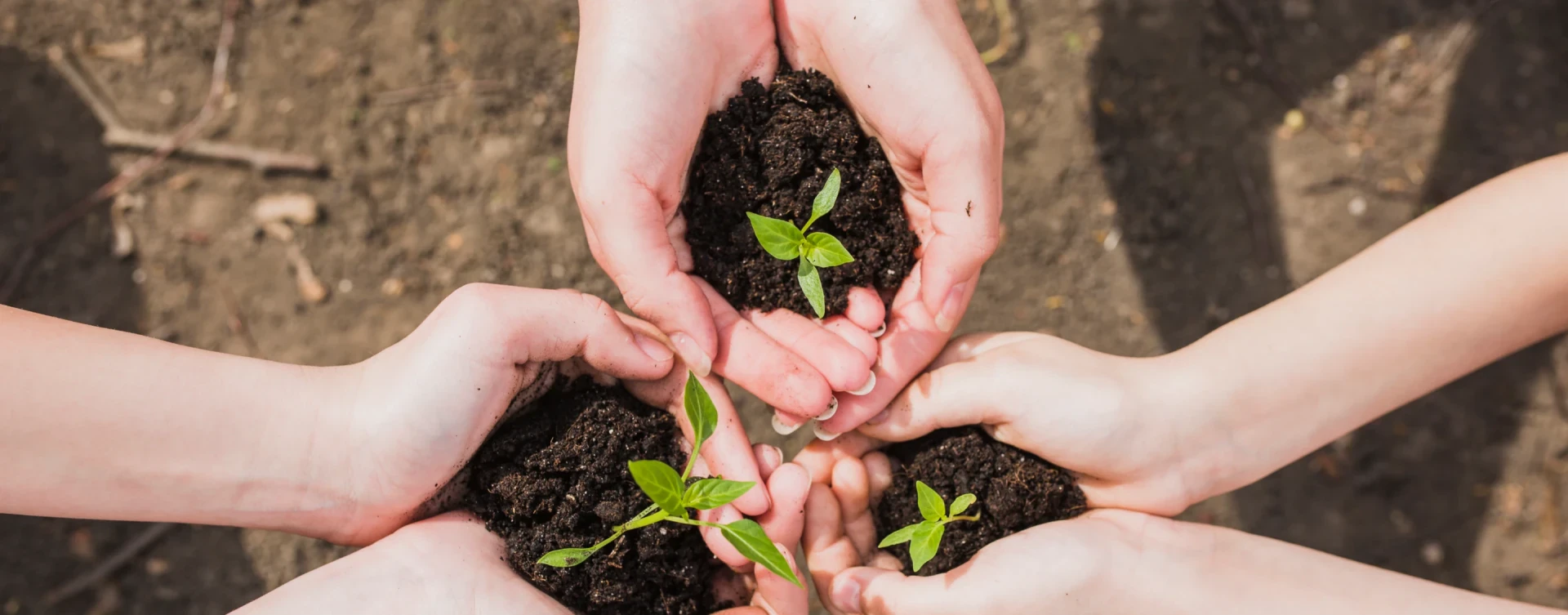 การดำเนินการด้านความยั่งยืน