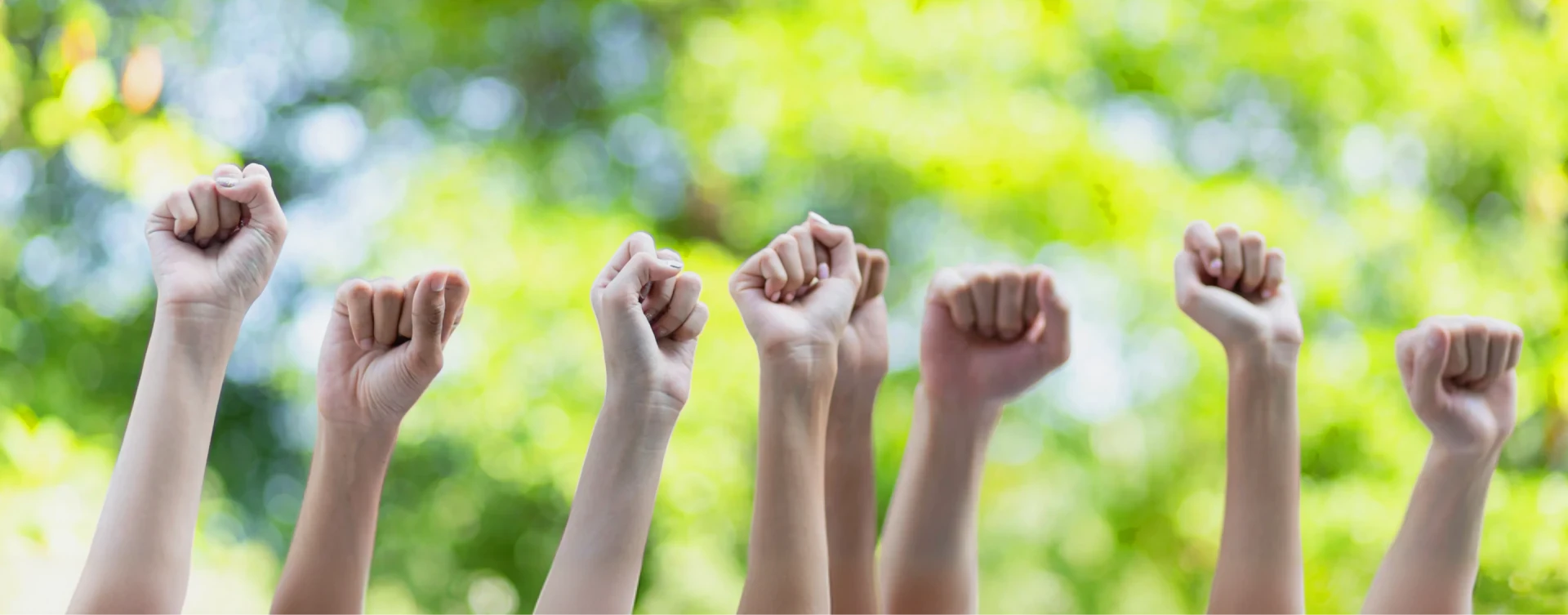 Human Rights and Labor Practices