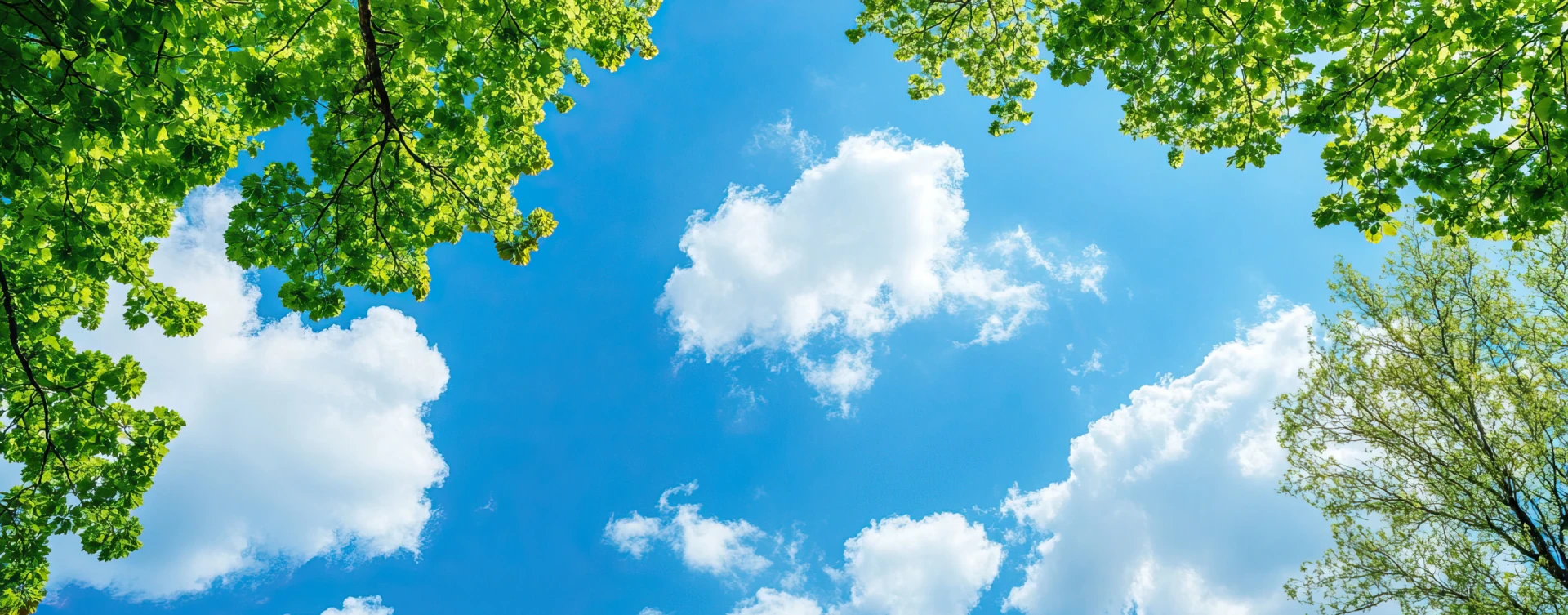 PR9 Commitment to the UN Sustainable Development Goals (UN SDGs)