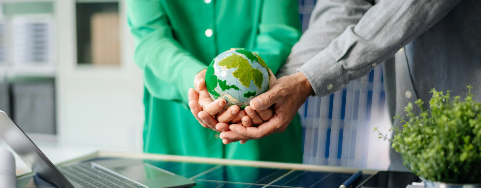 Sustainability Strategy and Goals