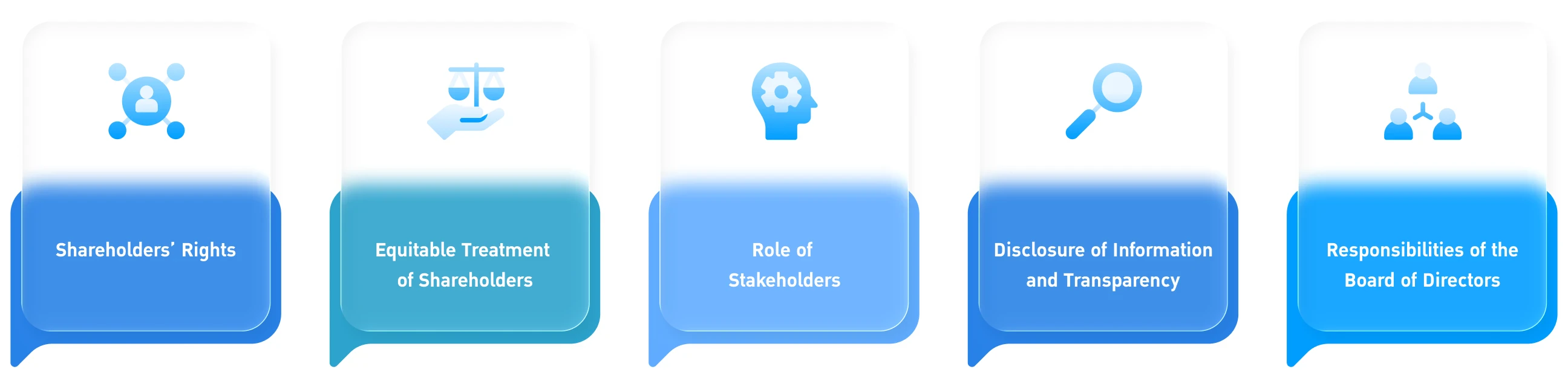 Five significant good corporate governance principles