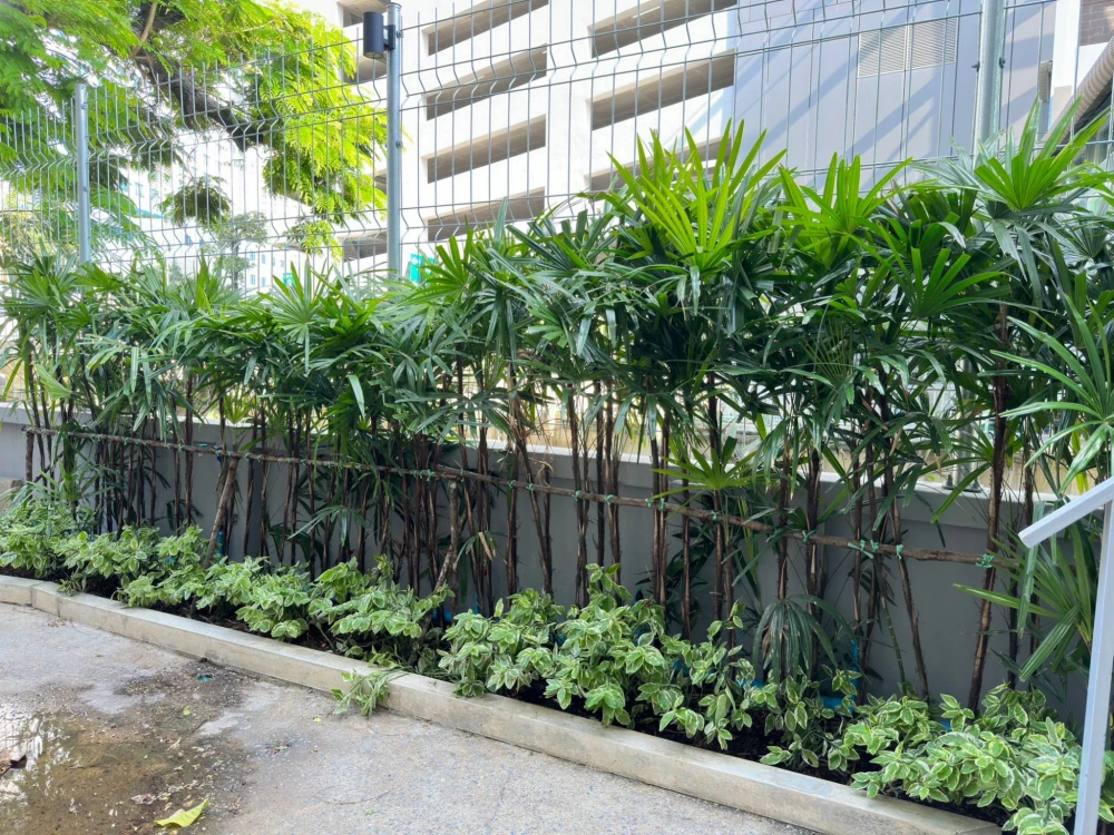 Wastewater Treatment Pond Improvement Project