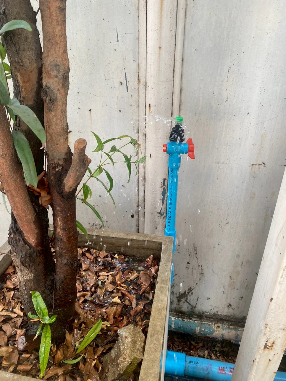 โครงการปรับปรุงบ่อน้ำบำบัดน้ำเสีย