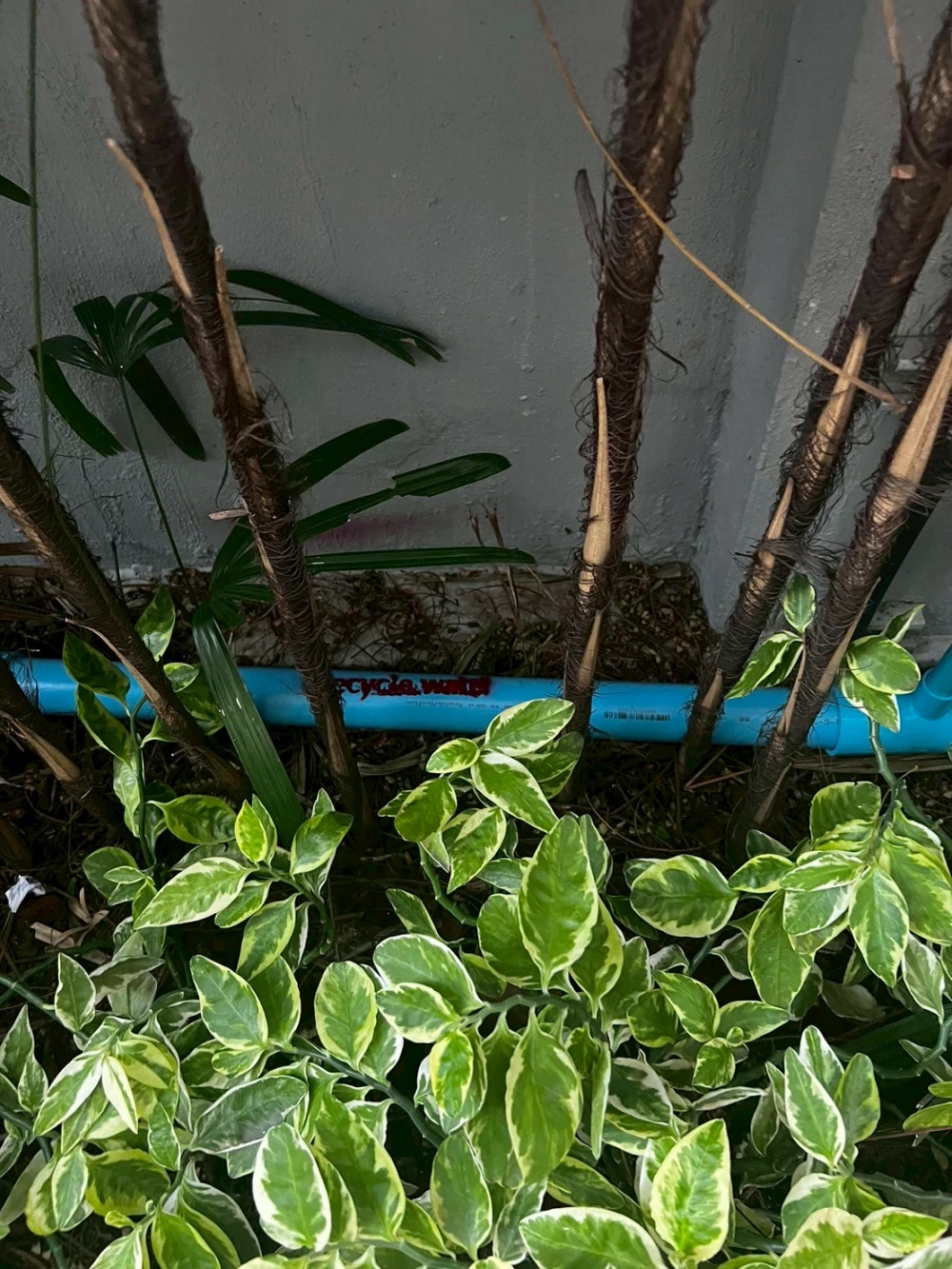 โครงการปรับปรุงบ่อน้ำบำบัดน้ำเสีย