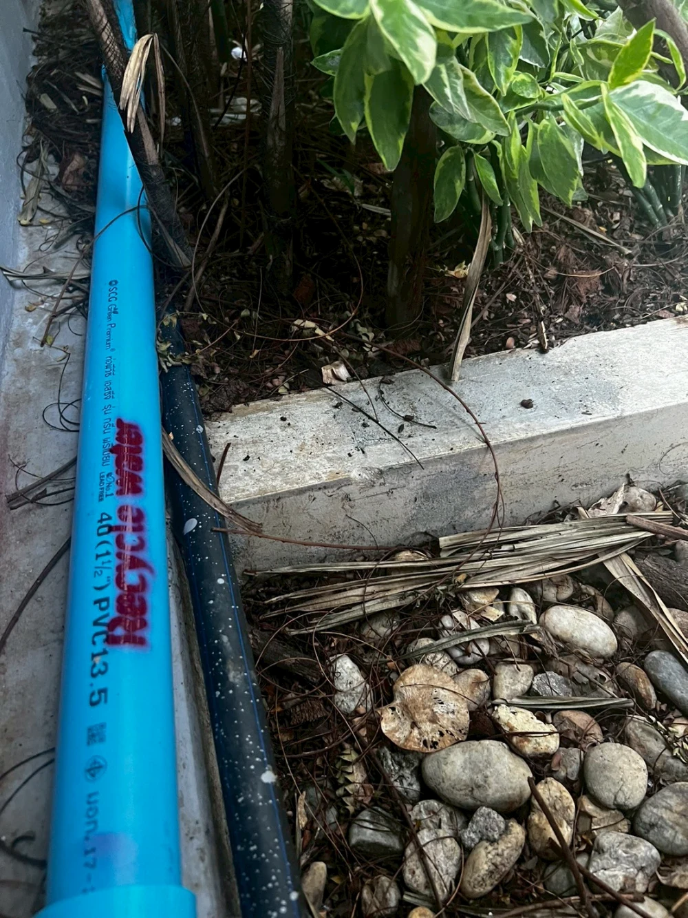 โครงการปรับปรุงบ่อน้ำบำบัดน้ำเสีย