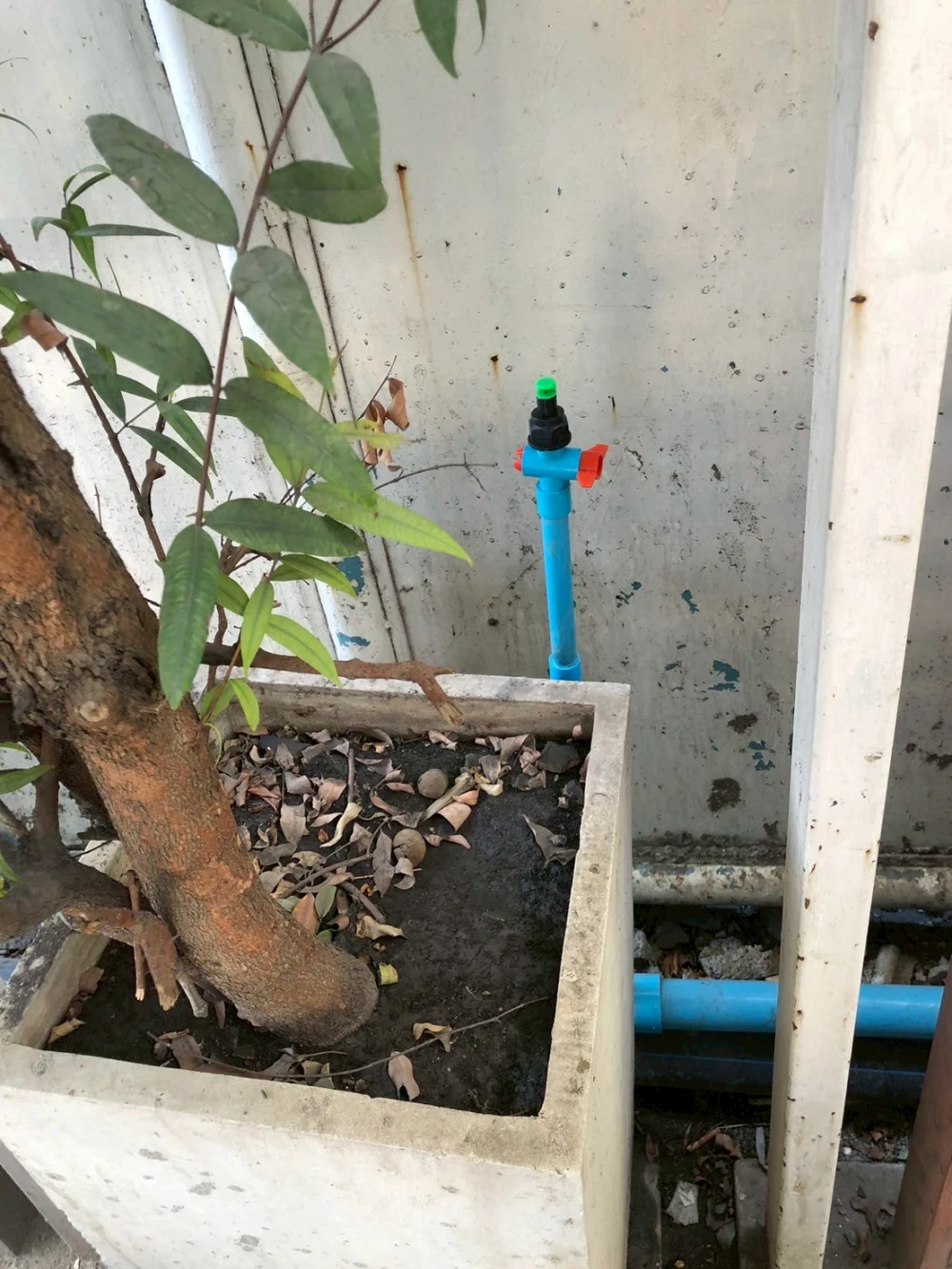 โครงการนำน้ำเสียที่ผ่านกระบวนการบำบัดกลับมาใช้ประโยชน์เพื่อรดน้ำต้นไม้ (Recycle)