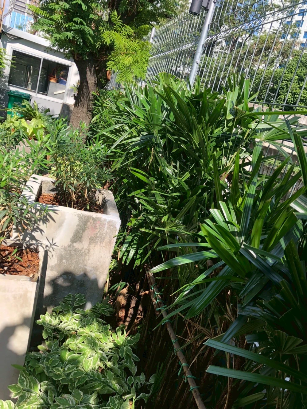 โครงการนำน้ำเสียที่ผ่านกระบวนการบำบัดกลับมาใช้ประโยชน์เพื่อรดน้ำต้นไม้ (Recycle)